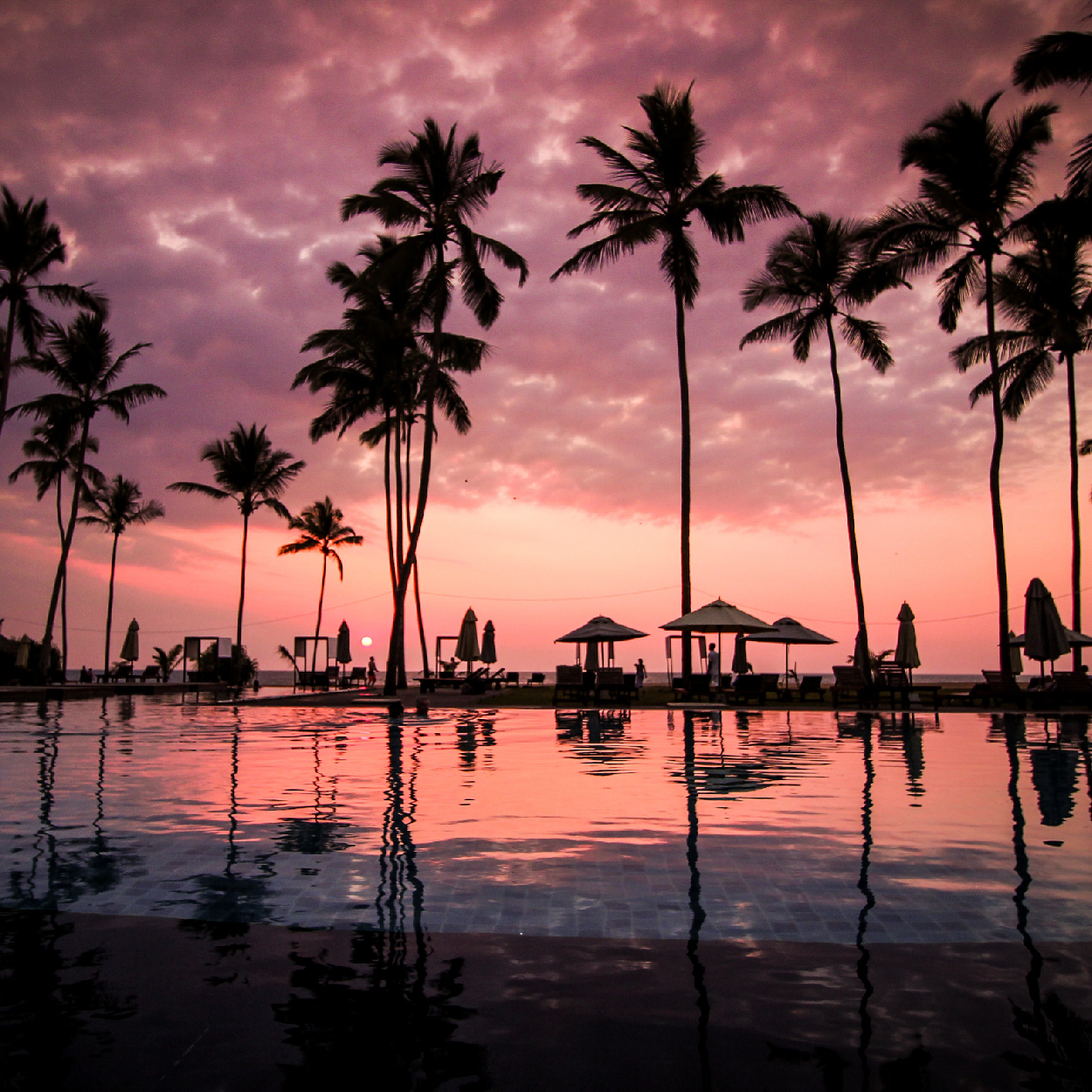 하와의 로미로미