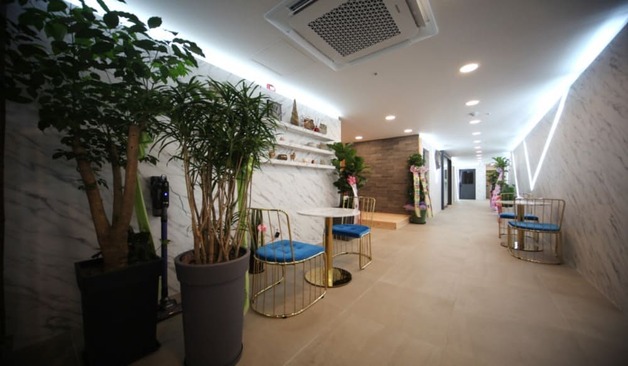 뱅뱅사거리 봄테라피