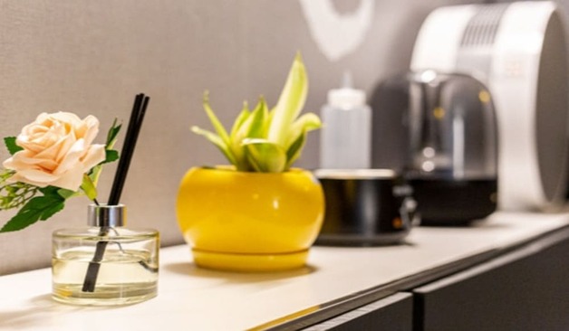 브라운테라피 인테리어