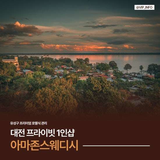 대전-아마존스웨디시