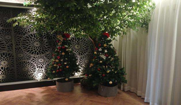 천안 불당동 새로스웨디시 화분