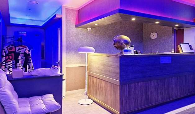 파주 운정 반하다스웨디시 파란조명의 카운터 샵사진