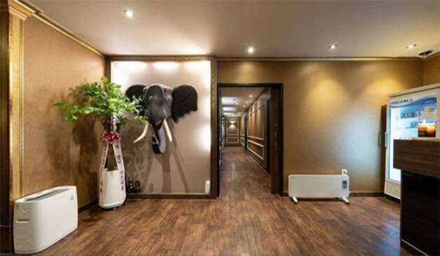 일산 장항동 미스웨디시